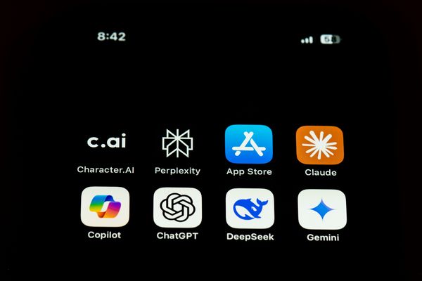 iPhone AI appid